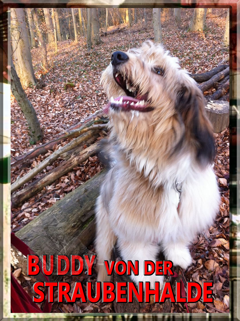 Wäller von der Straubenhalde